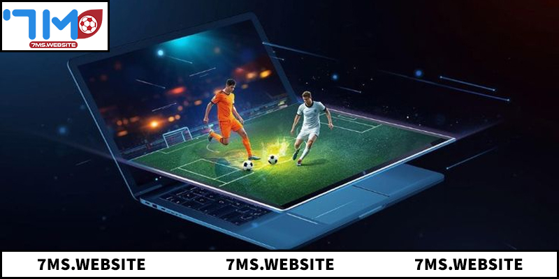 Giải mã chi tiết về giới thiệu 7M