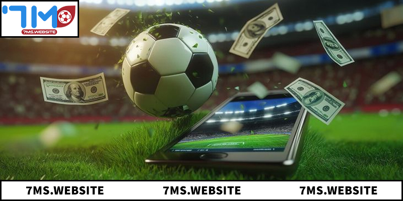 Giới thiệu chi tiết nền tảng 7M