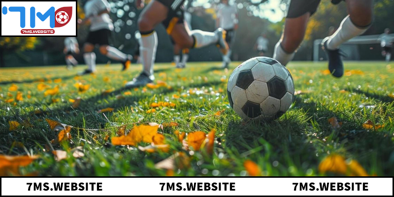 Tìm hiểu chi tiết về cuộc đua săn bàn 2026