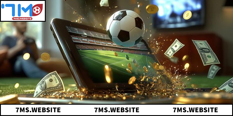 Tổng quan về chuyên mục bảng xếp hạng 7M